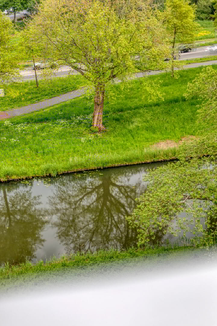 Foto 29 van Scheerling 181