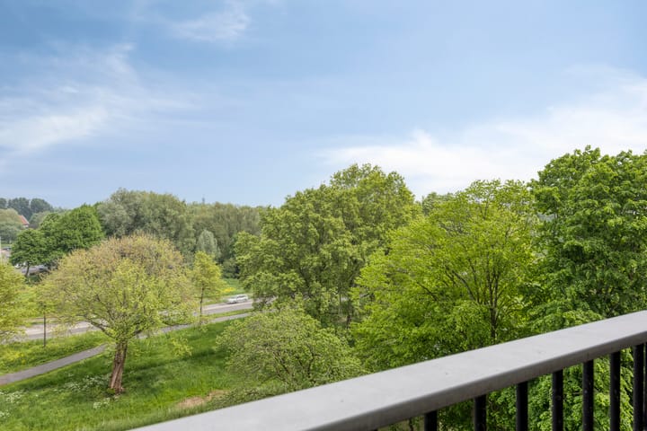 Foto 30 van Scheerling 181