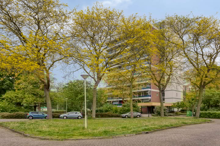 Foto 39 van Scheerling 181