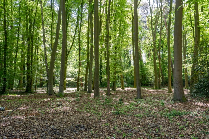 Foto 50 van Smuddeboshoek 21