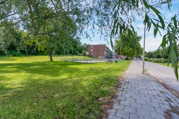 Foto 41 van Orionsingel 320