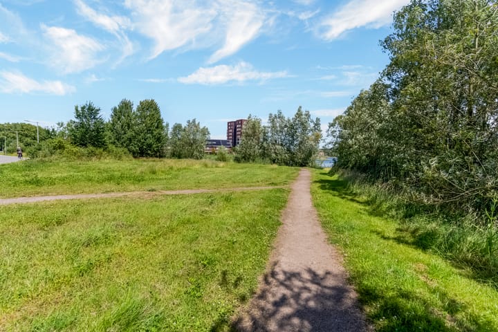 Foto 42 van Orionsingel 320