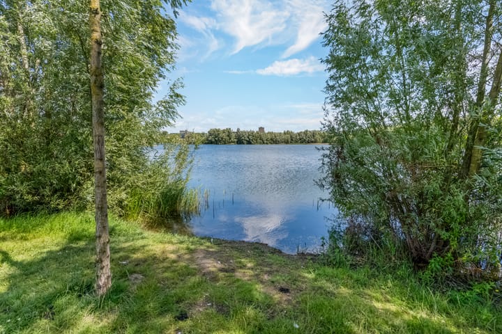 Foto 43 van Orionsingel 320