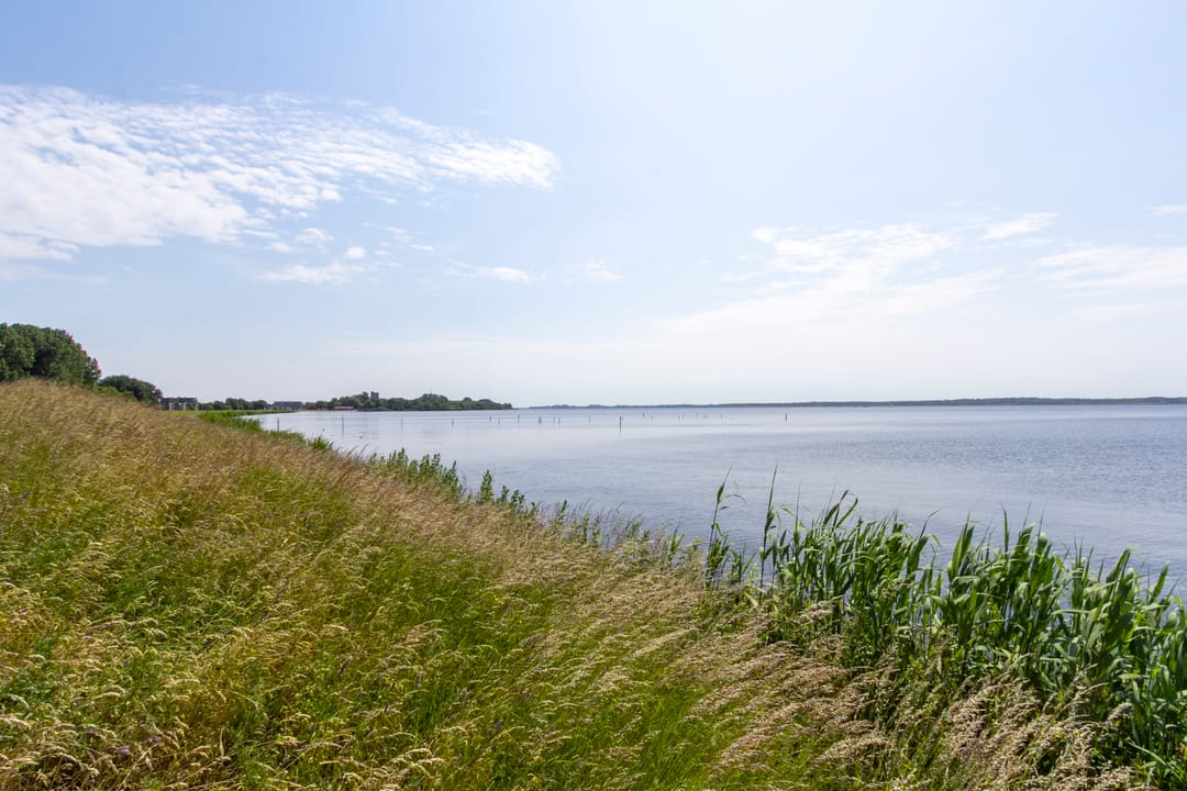 Foto 47 van Blikveldweg 11