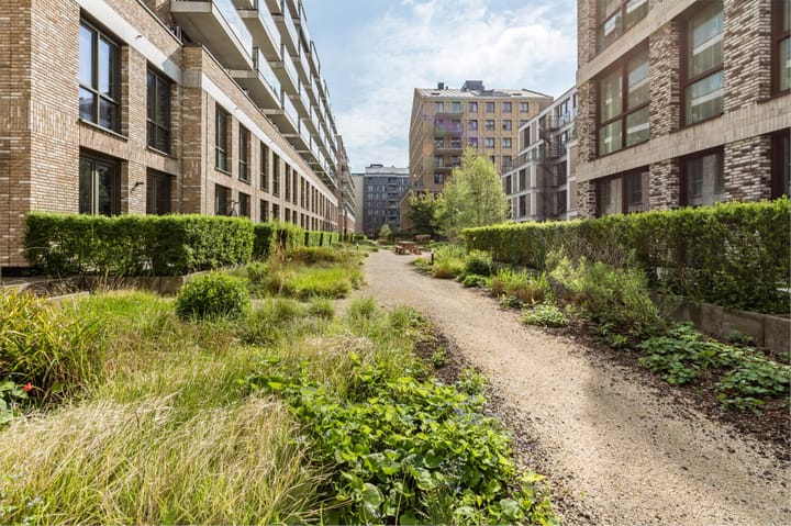 Foto 39 van Dokstraat 455