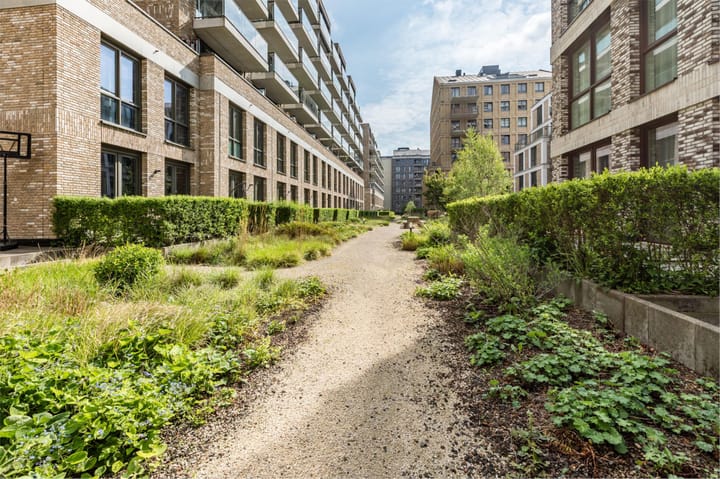 Foto 40 van Dokstraat 455