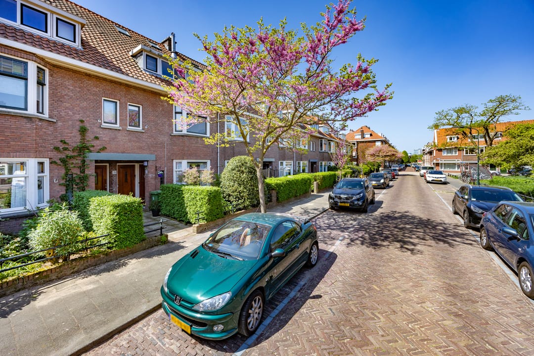 Photo 43 of van Halewijnplein 29