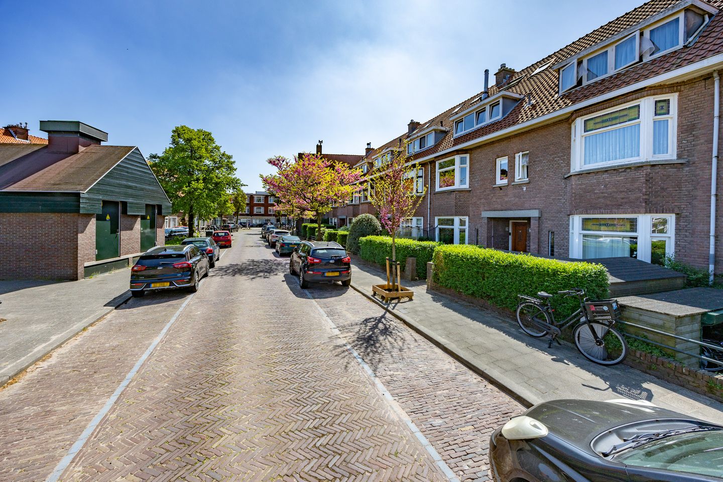 Photo 44 of van Halewijnplein 29