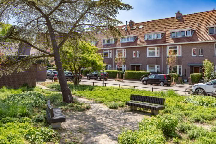 Foto 45 van van Halewijnplein 29