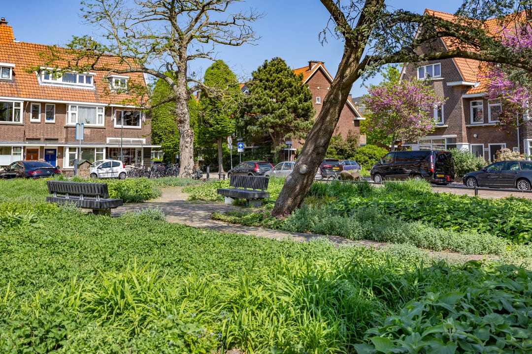 Photo 46 of van Halewijnplein 29