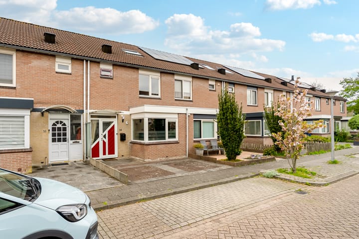 Foto 4 van Mannagrasstraat 14