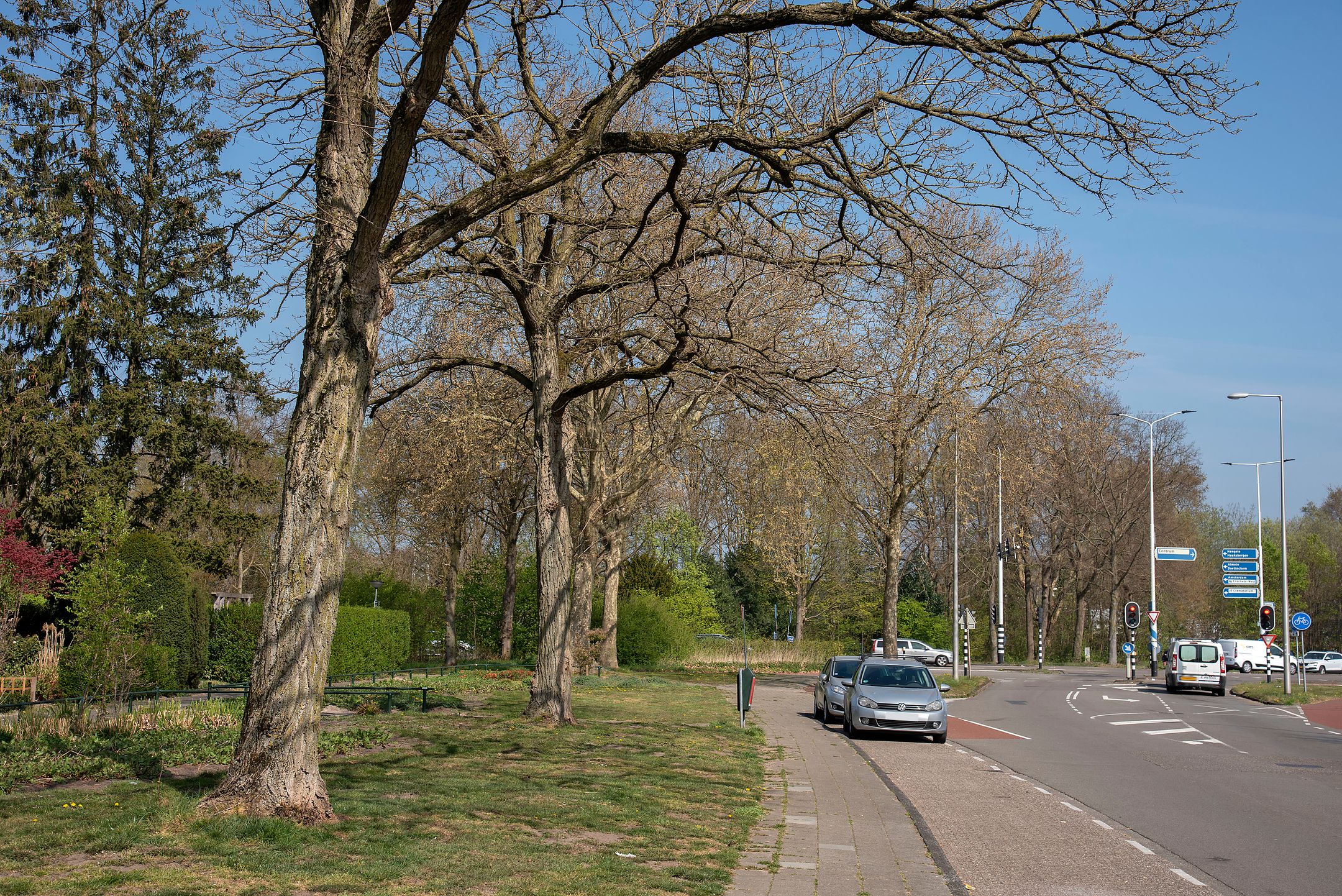 Photo 36 of Wethouder Nijhuisstraat 15