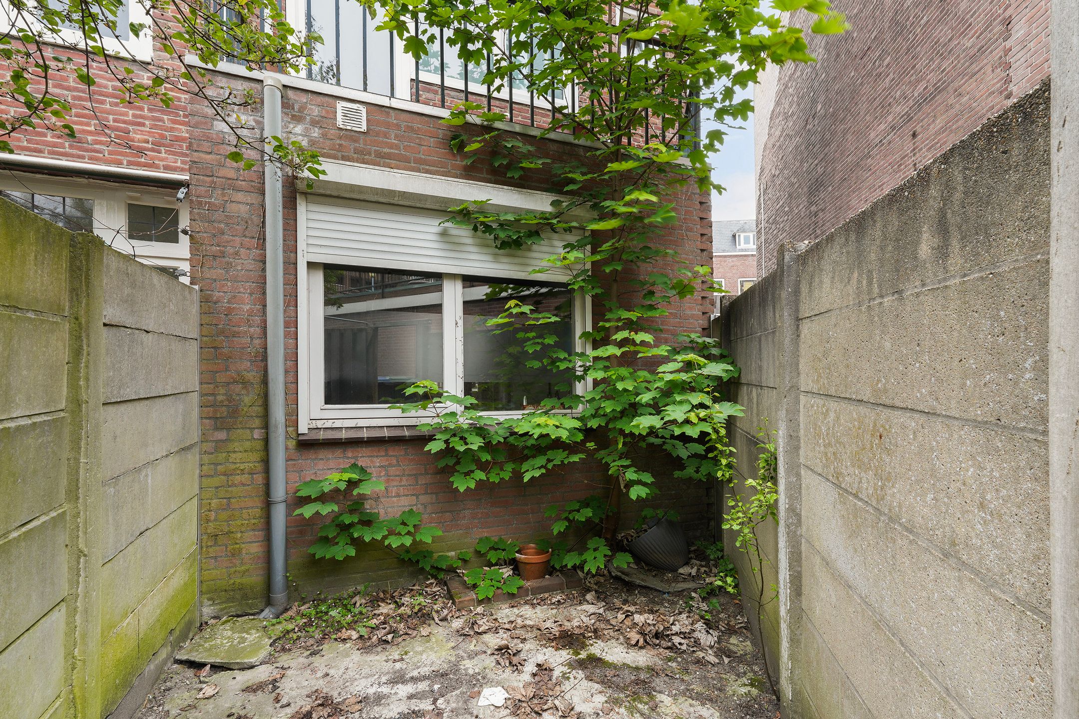 Foto 24 van Enschotsestraat 130