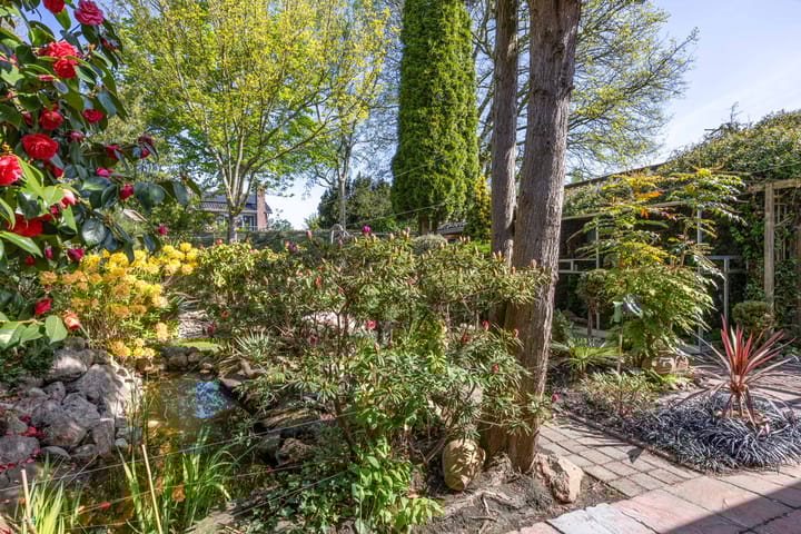 Foto 31 van Tjalkstraat 4