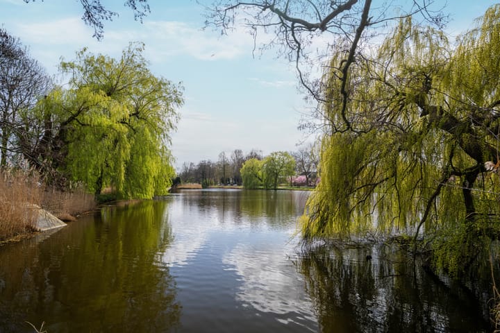 Foto 44 van Jaspershof 6