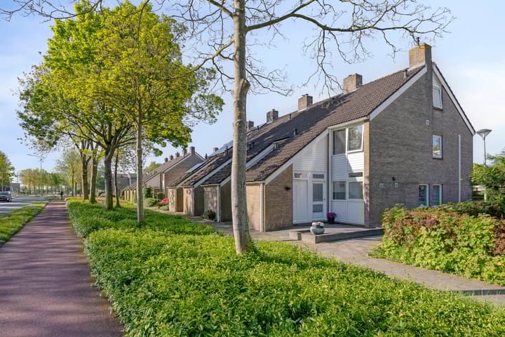 Zuiderweg 195