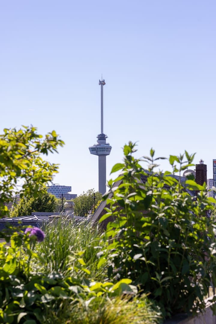 Foto 42 van Van Vollenhovenstraat 3-612