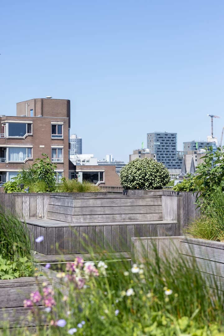 Foto 43 van Van Vollenhovenstraat 3-612