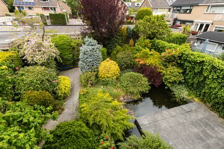 Foto 34 van Rozemarijnsingel 5