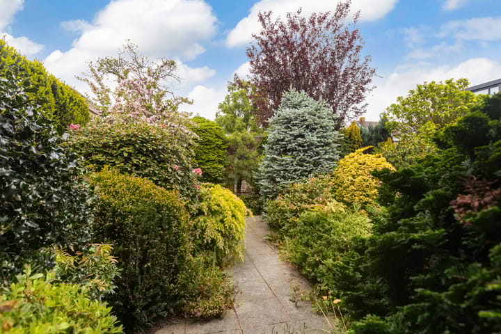 Foto 38 van Rozemarijnsingel 5