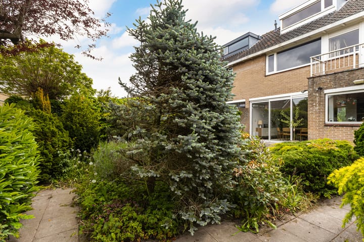 Foto 40 van Rozemarijnsingel 5