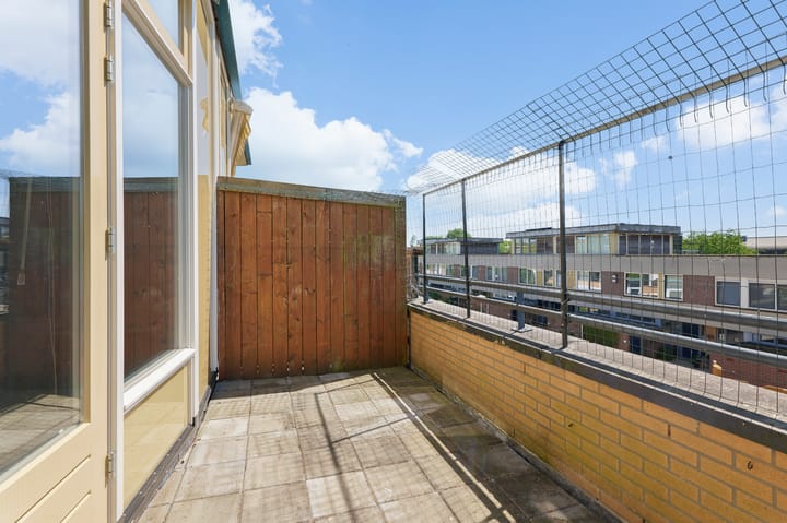 Foto 11 van Ibrahim Moustafapad 13