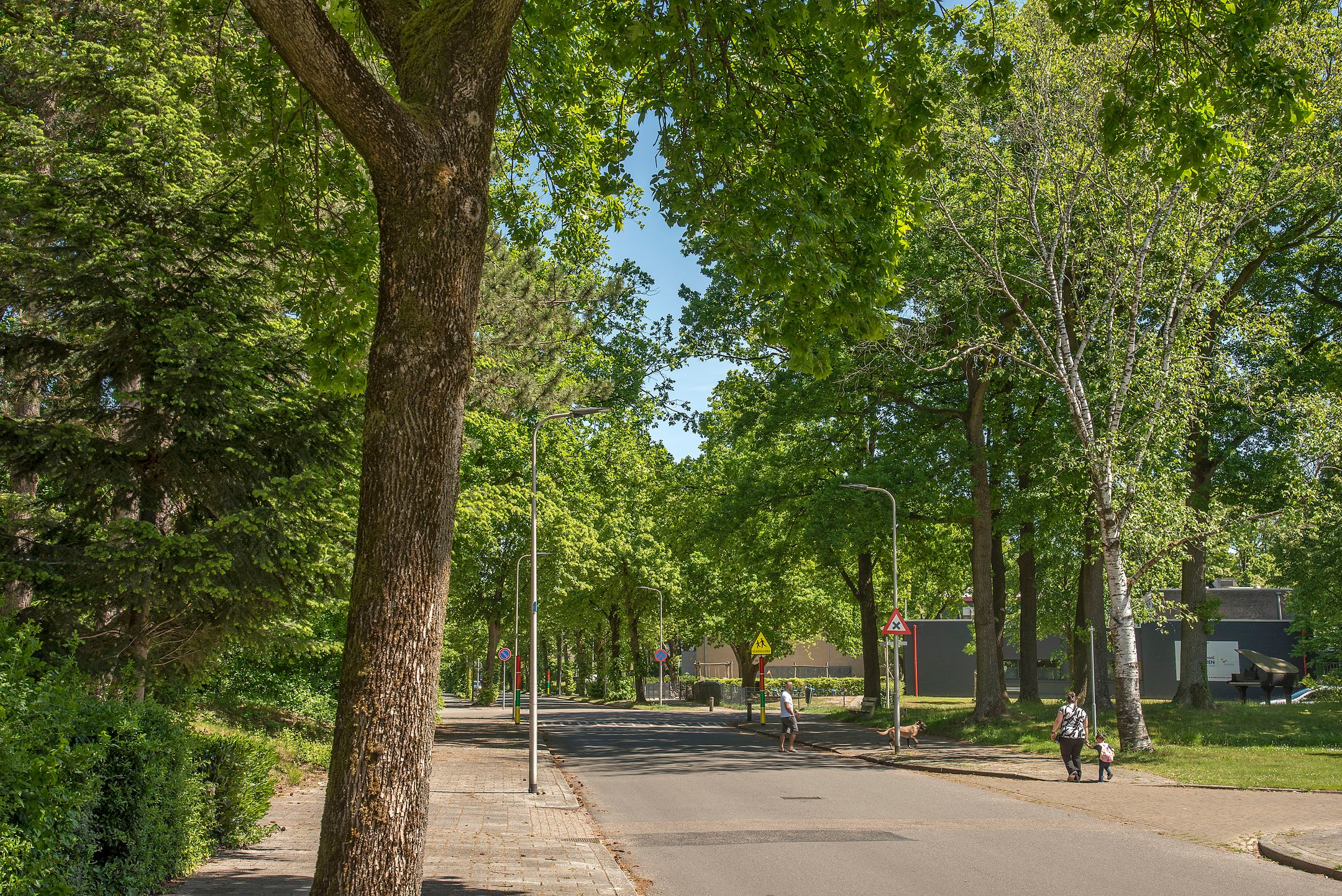 Foto 24 van Rijnstraat 31