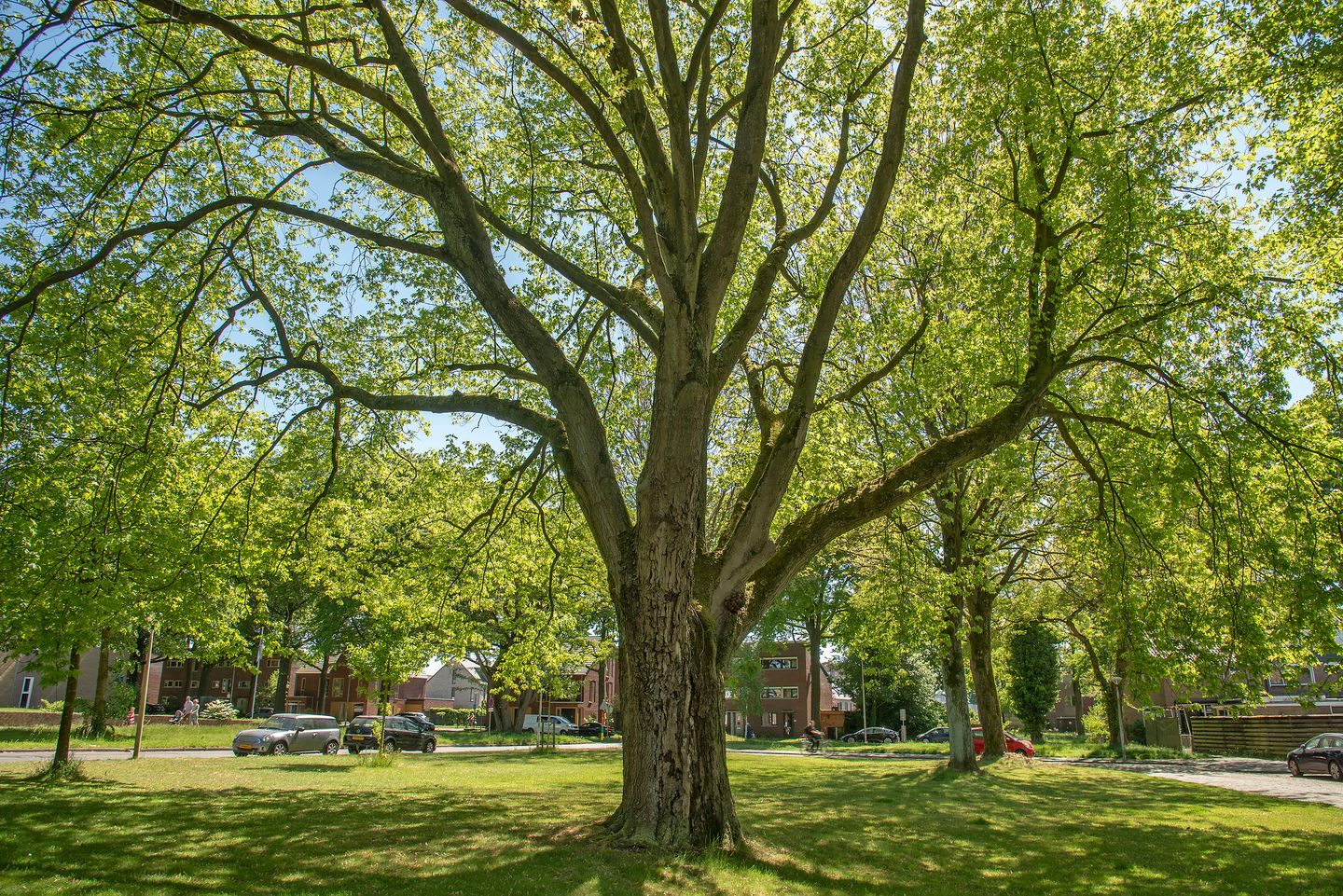 Foto 25 van Rijnstraat 31