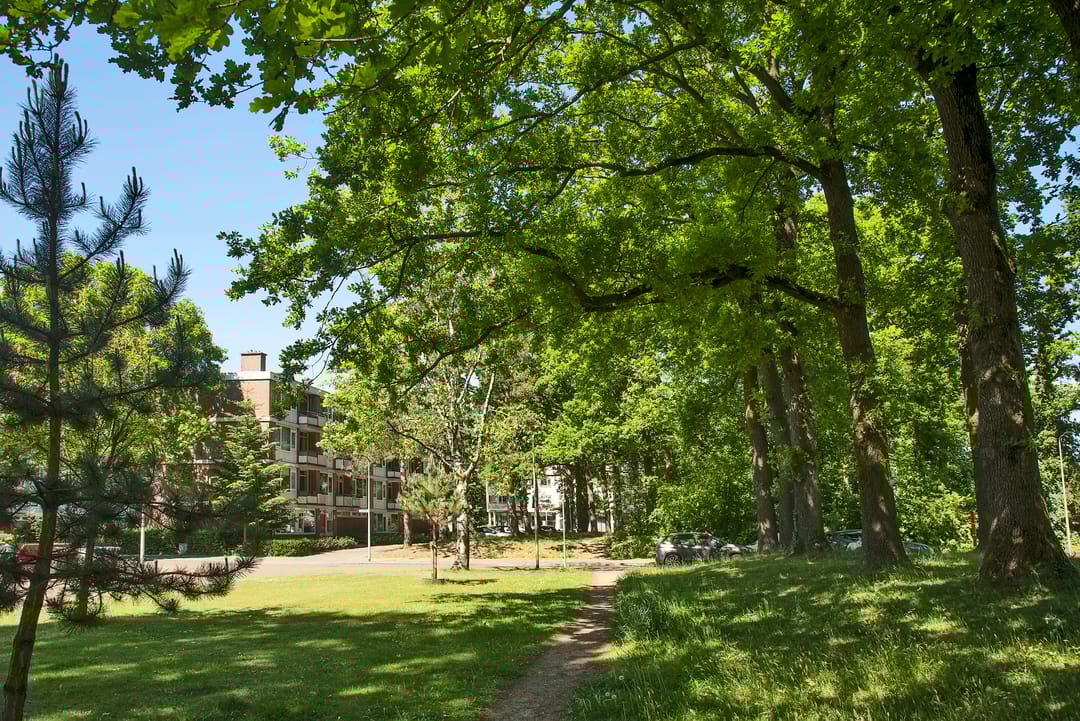 Foto 26 van Rijnstraat 31