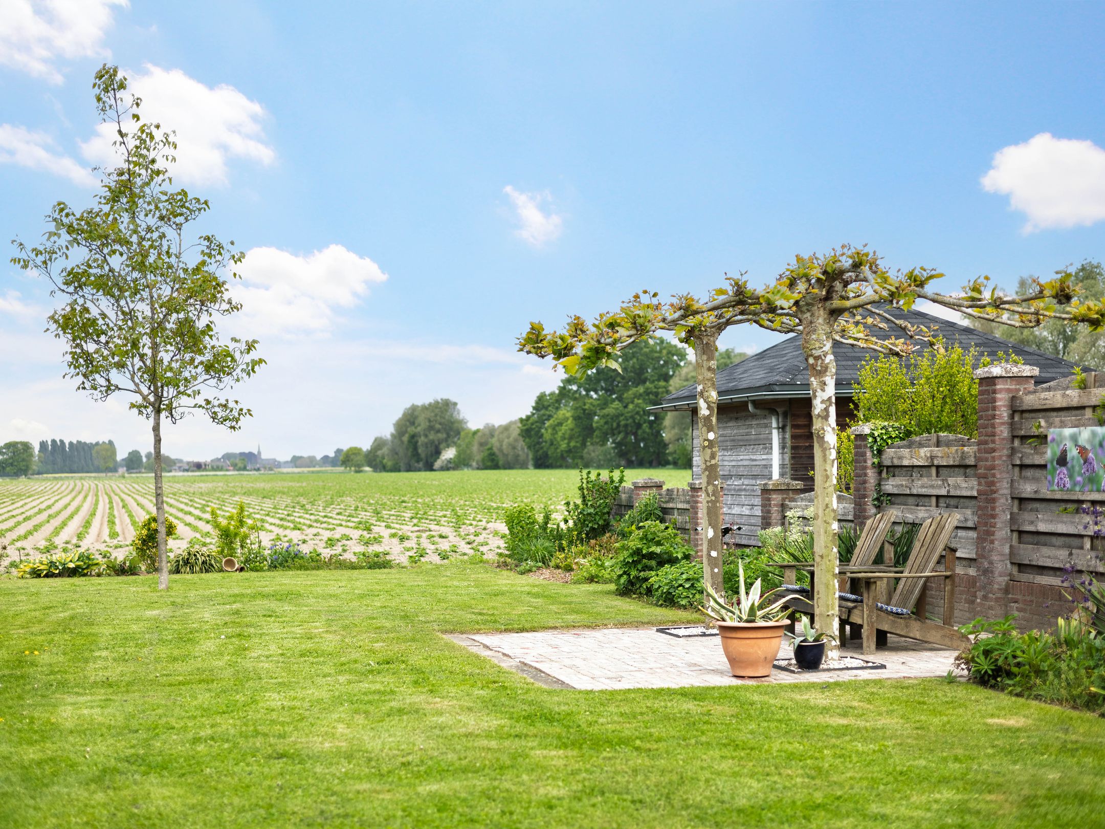 Foto 33 van Wethouder Campermanstr 13