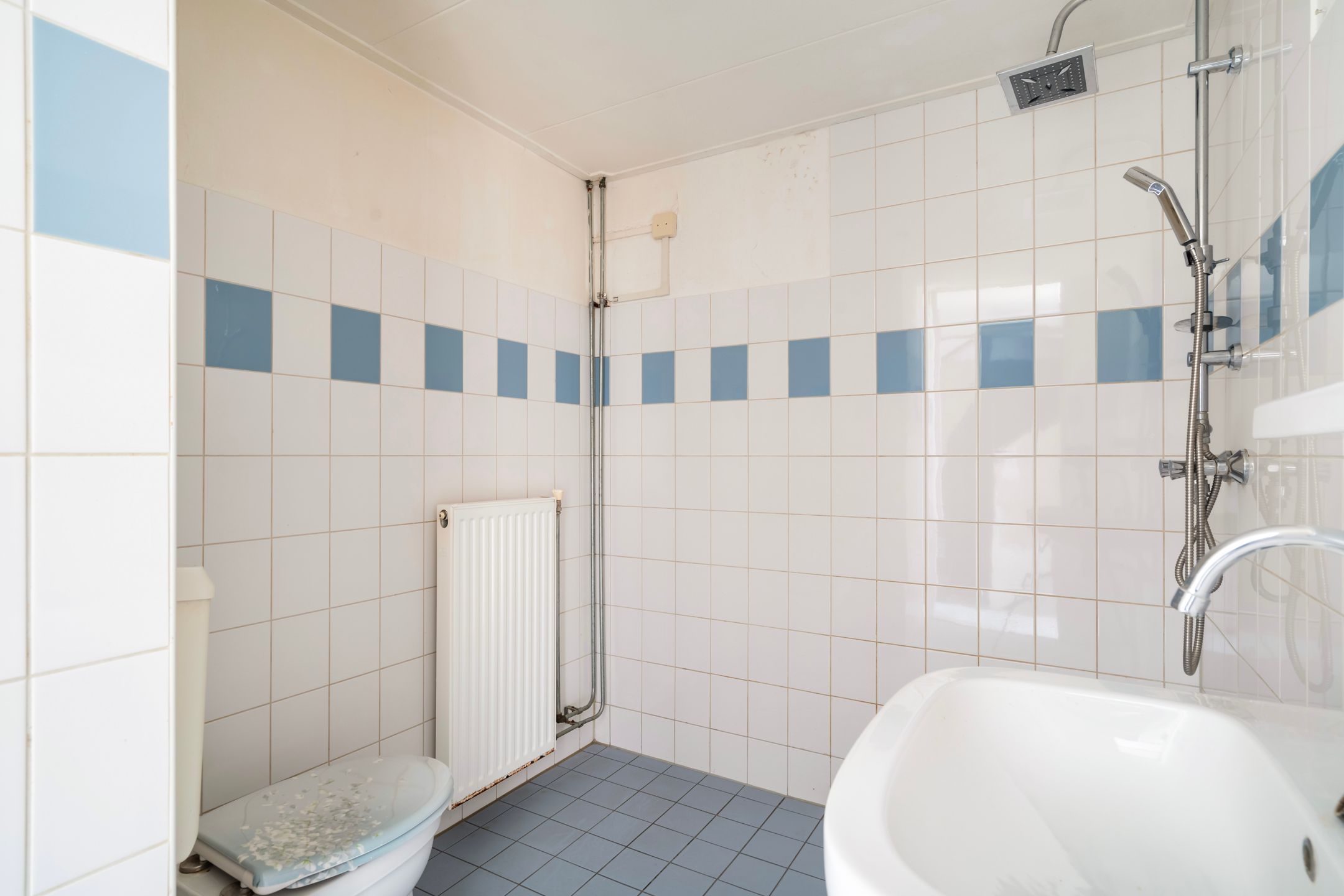 Foto 24 van Castricumhoeve 25