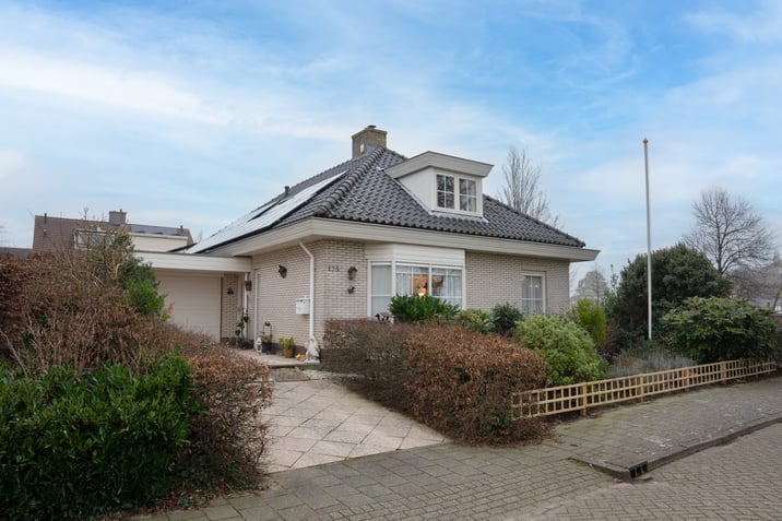 undefined main image