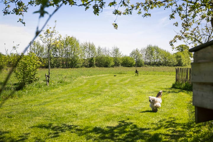 Foto 17 van Nijlandweg 2-A