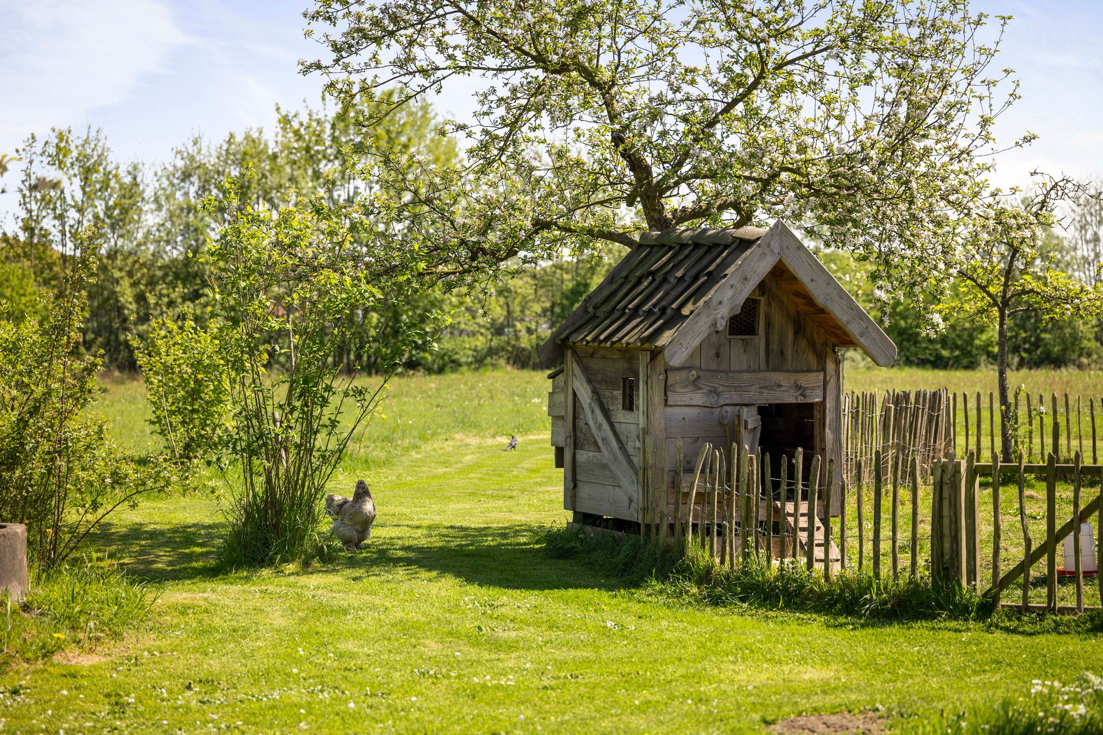 Foto 33 van Nijlandweg 2-A