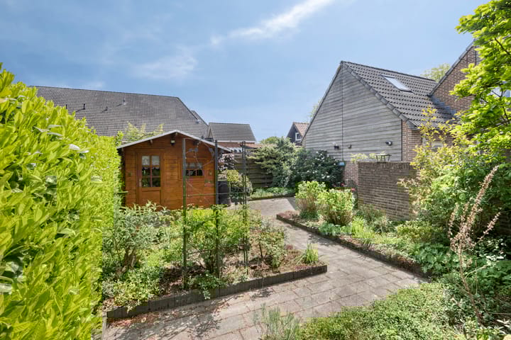 Foto 2 van Schapendrift 3