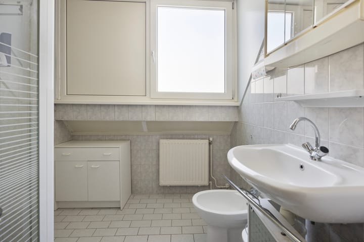 Photo 22 of Schapendrift 3