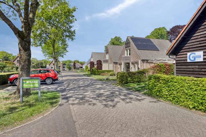 Photo 35 of Schapendrift 3