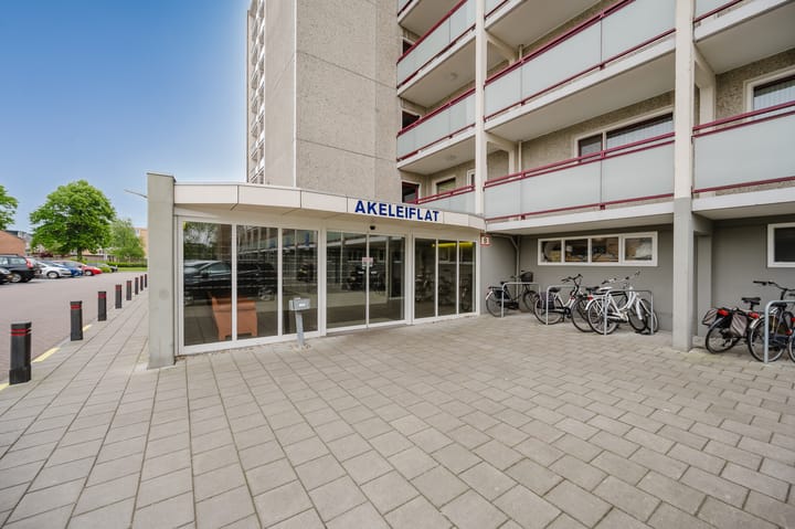 Foto 5 van Akeleistraat 30-J