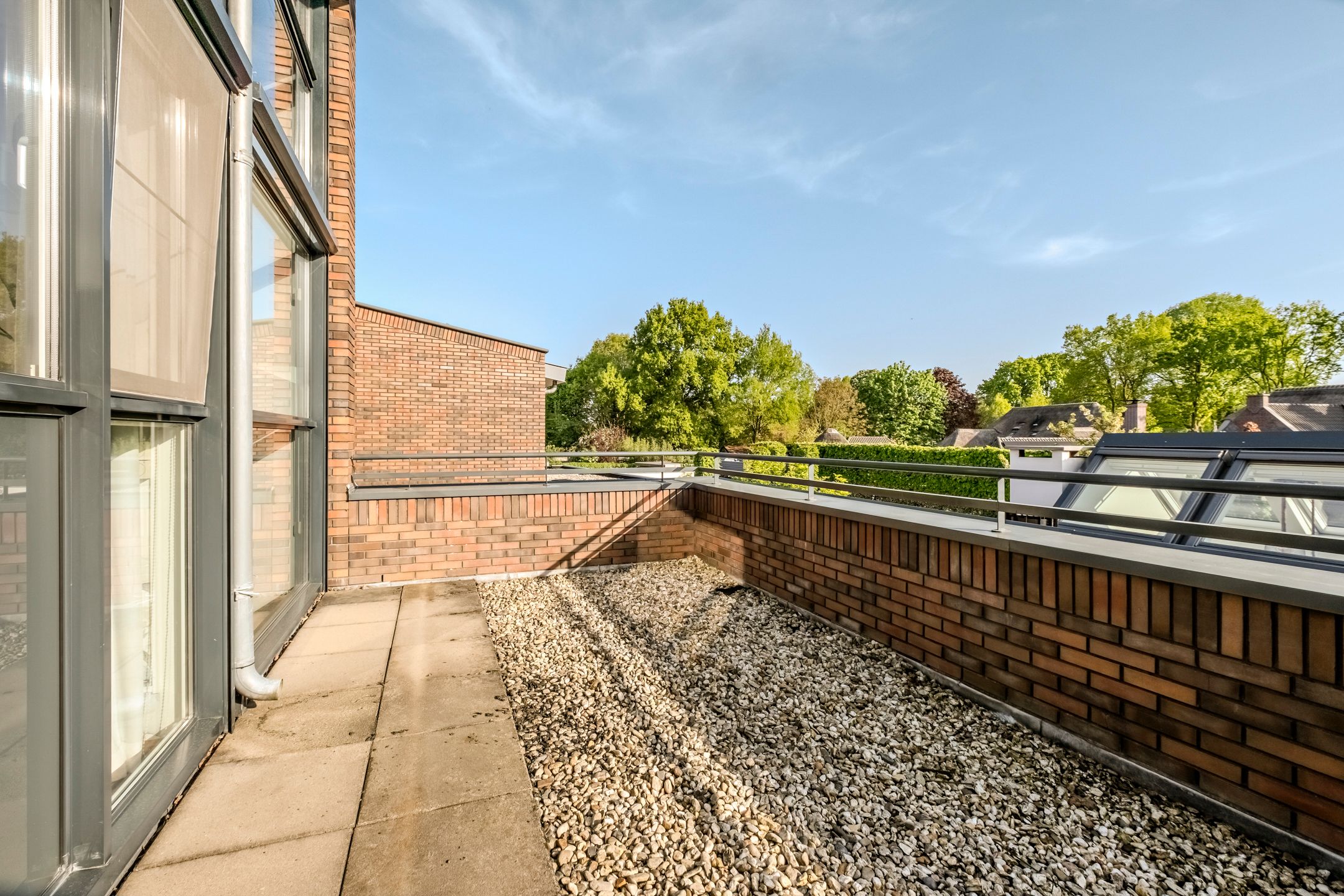 Photo 30 of Peregrijn 17