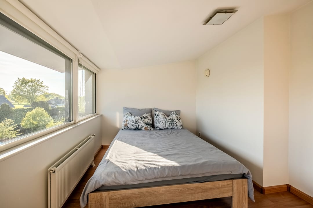 Photo 38 of Peregrijn 17