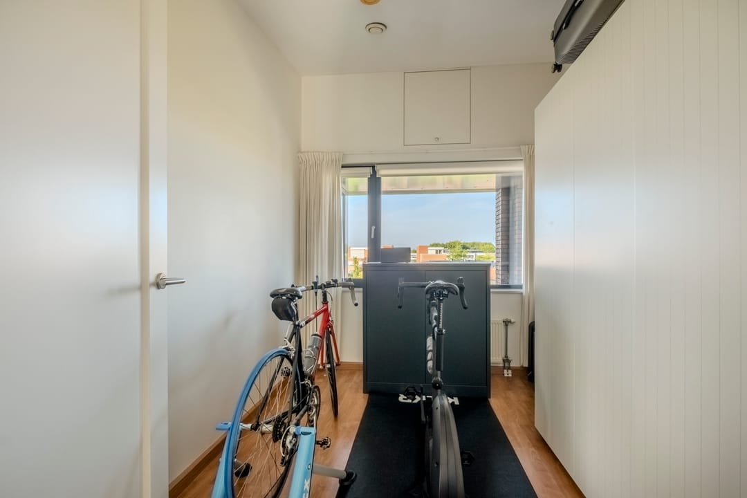 Photo 41 of Peregrijn 17