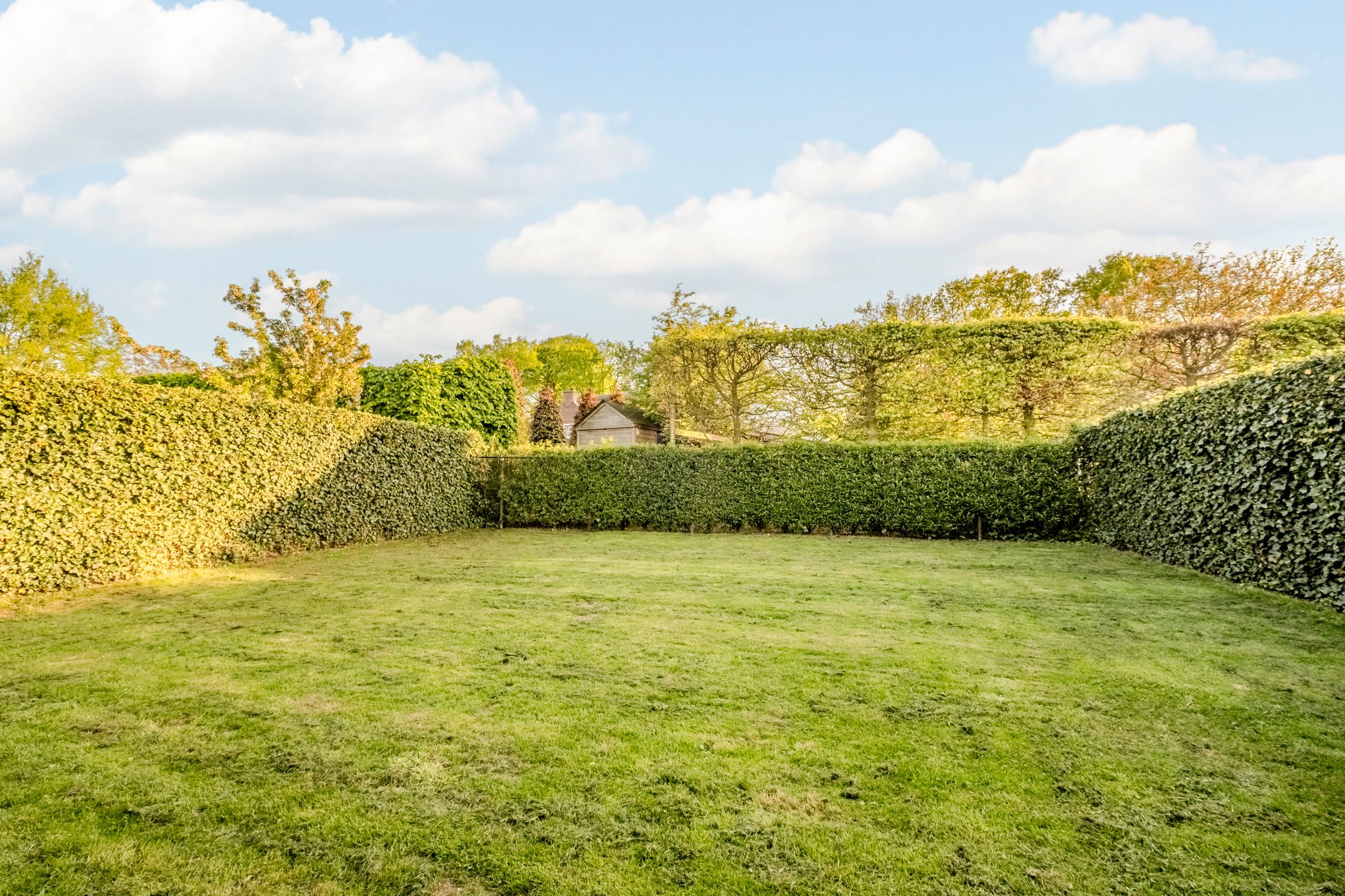 Photo 51 of Peregrijn 17