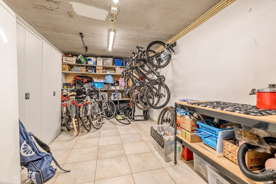 Photo 56 of Peregrijn 17