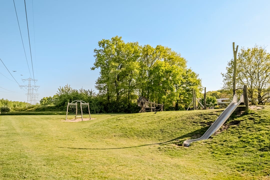 Photo 58 of Peregrijn 17