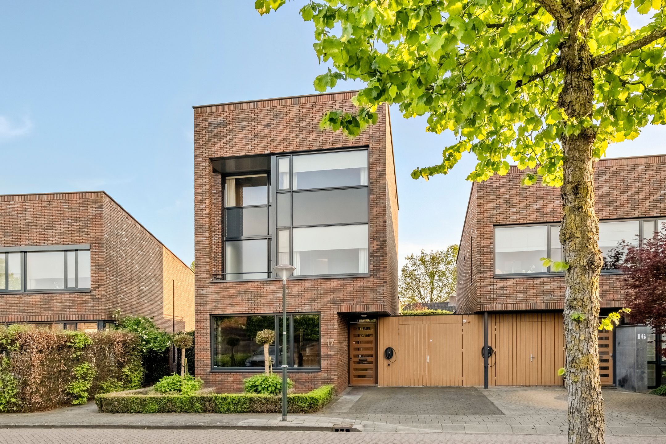 Photo 60 of Peregrijn 17