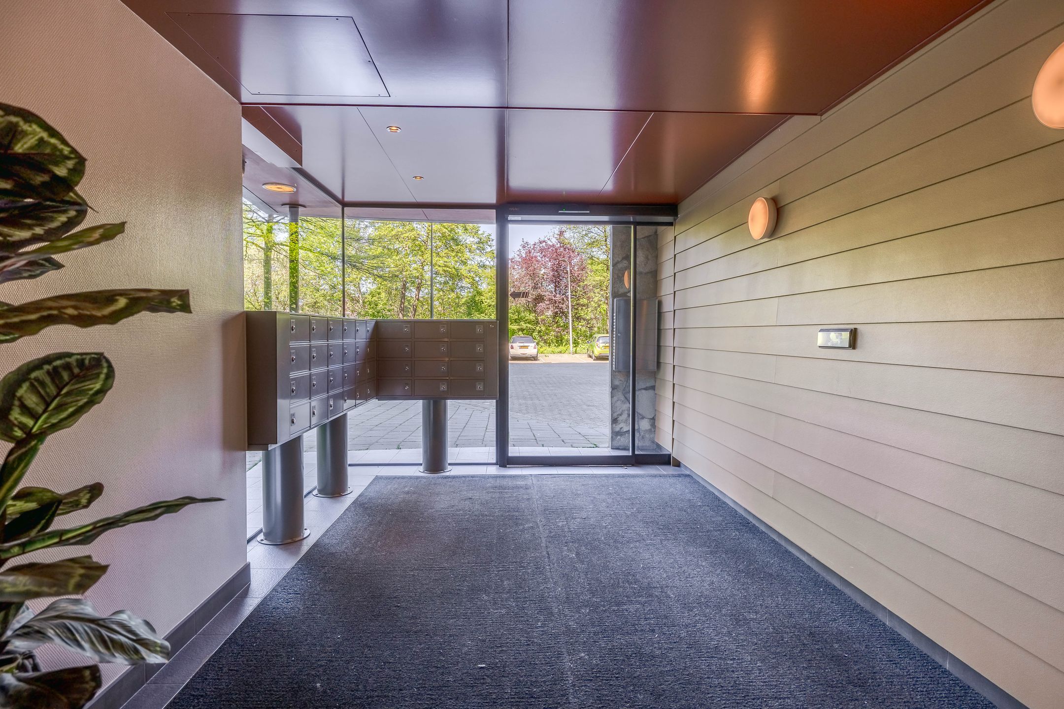 Foto 6 van Dotterlei 799