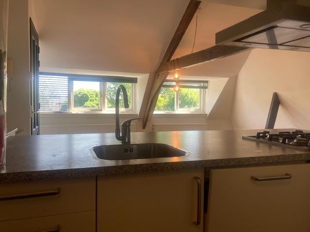 Photo 9 of Zoeterwoudsesingel 101-C