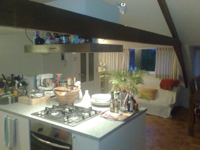 Photo 10 of Zoeterwoudsesingel 101-C