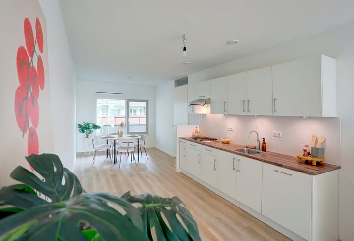 Foto 10 van IJsvogelpassage 15