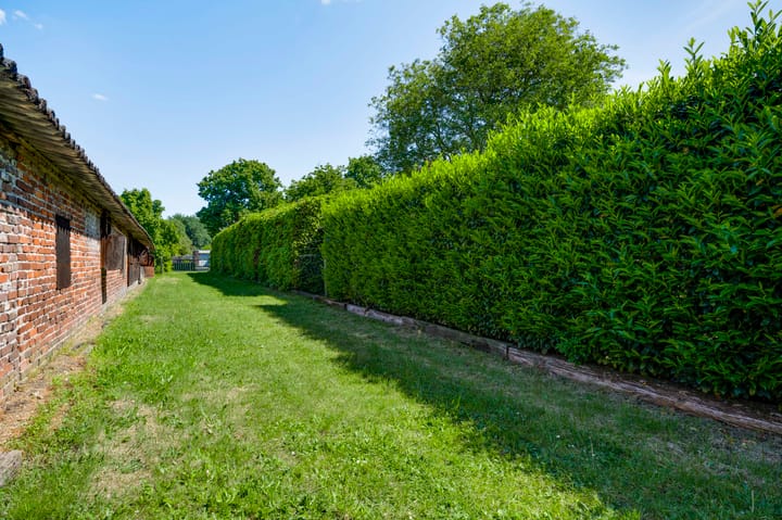 Foto 39 van Zandstraat 17